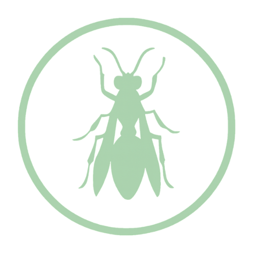 Untitled design (13)