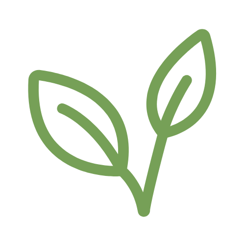 Untitled design (18)